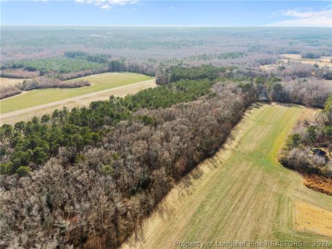 Tiny photo for 1896 & 0 Clark Road, Lillington, NC 27546 (MLS # 753432)