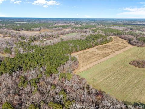 Tiny photo for 1896 & 0 Clark Road, Lillington, NC 27546 (MLS # 753432)