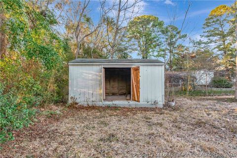 Tiny photo for 211 Lewis Street, Bladenboro, NC 28320 (MLS # 757652)