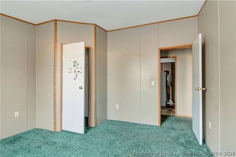 Tiny photo for 211 Lewis Street, Bladenboro, NC 28320 (MLS # 757652)