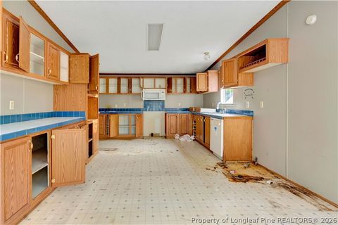 Tiny photo for 211 Lewis Street, Bladenboro, NC 28320 (MLS # 757652)