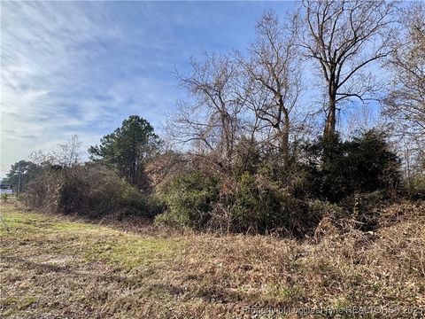 Tiny photo for 0 Tramway Road, Sanford, NC 27330 (MLS # 754709)
