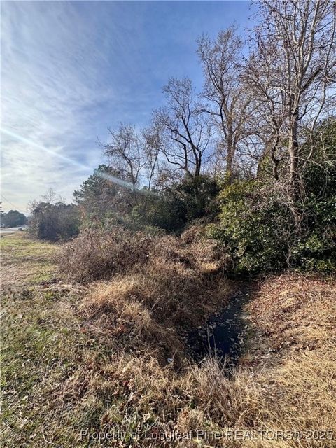 Tiny photo for 0 Tramway Road, Sanford, NC 27330 (MLS # 754709)