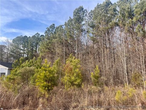 Tiny photo for 0 Tramway Road, Sanford, NC 27330 (MLS # 754709)