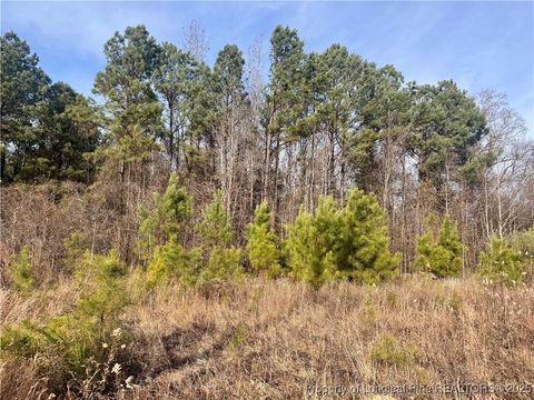 Tiny photo for 0 Tramway Road, Sanford, NC 27330 (MLS # 754709)