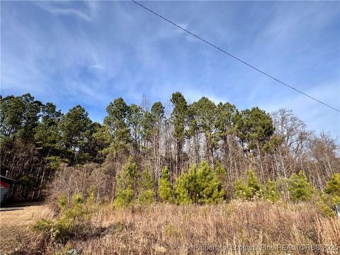 Tiny photo for 0 Tramway Road, Sanford, NC 27330 (MLS # 754709)