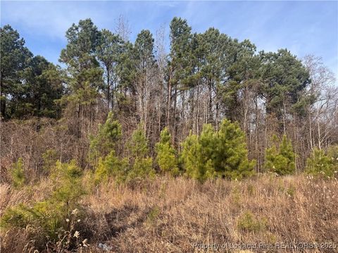 Tiny photo for 0 Tramway Road, Sanford, NC 27330 (MLS # 754709)