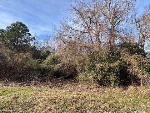 Tiny photo for 0 Tramway Road, Sanford, NC 27330 (MLS # 754709)