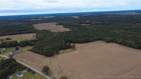 Tiny photo for Greenville Road, Lumberton, NC 28358 (MLS # 751631)
