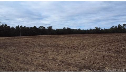 Tiny photo for Greenville Road, Lumberton, NC 28358 (MLS # 751631)
