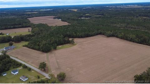 Photo of Greenville Road, Lumberton, NC 28358 (MLS # 751631)