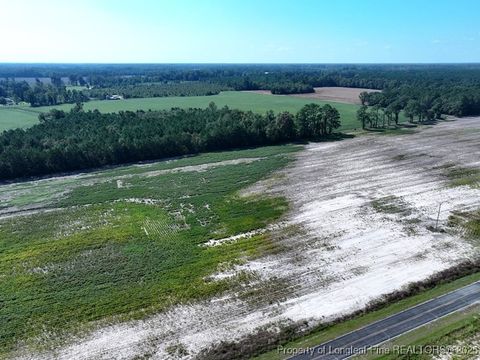 Photo of TBD Cowpen Swamp Road, Fairmont, NC 28340 (MLS # 753989)