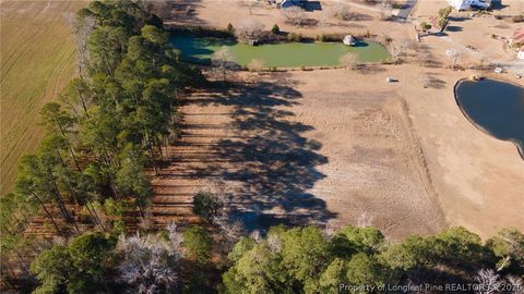 Photo of 1080 Besalt Drive, St Pauls, NC 28384 (MLS # 756512)