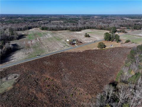Tiny photo for Wire Grass Road, Orrum, NC 28369 (MLS # 753957)