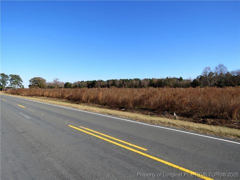 Tiny photo for Wire Grass Road, Orrum, NC 28369 (MLS # 753957)