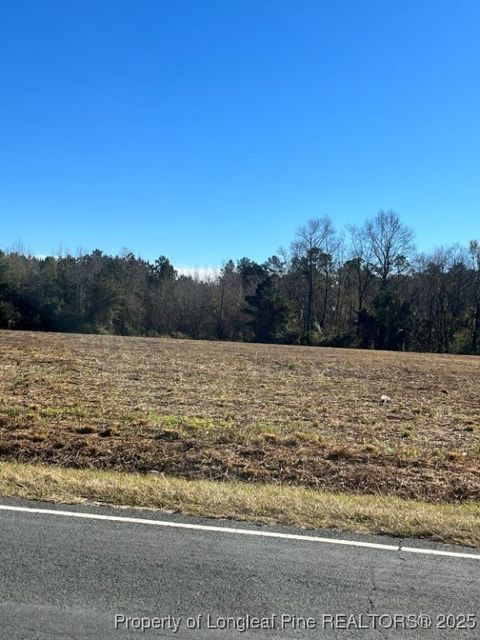 Tiny photo for Wire Grass Road, Orrum, NC 28369 (MLS # 753957)