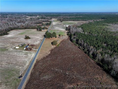 Tiny photo for Wire Grass Road, Orrum, NC 28369 (MLS # 753957)