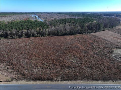 Tiny photo for Wire Grass Road, Orrum, NC 28369 (MLS # 753957)
