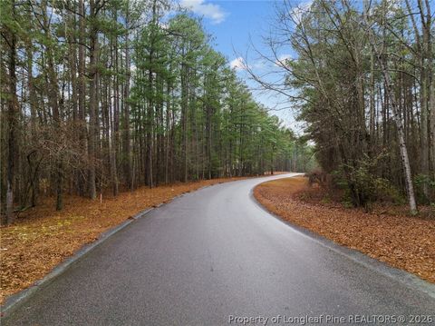 Photo of 221 Pebble Drive, West End, NC 27376 (MLS # 757907)