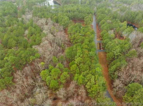 Tiny photo for 221 Pebble Drive, West End, NC 27376 (MLS # 757907)