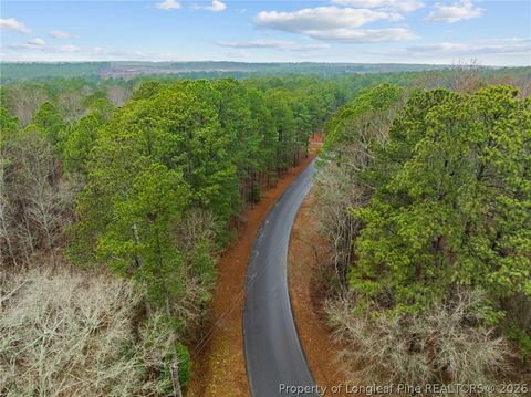 Tiny photo for 221 Pebble Drive, West End, NC 27376 (MLS # 757907)