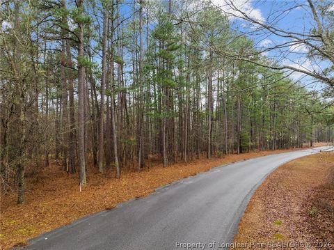 Tiny photo for 221 Pebble Drive, West End, NC 27376 (MLS # 757907)