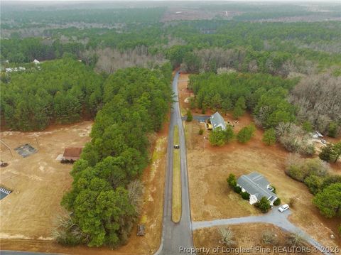 Tiny photo for 221 Pebble Drive, West End, NC 27376 (MLS # 757907)