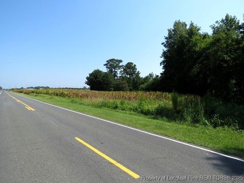 Tiny photo for TBD Alamac Road, Lumberton, NC 28358 (MLS # 753992)