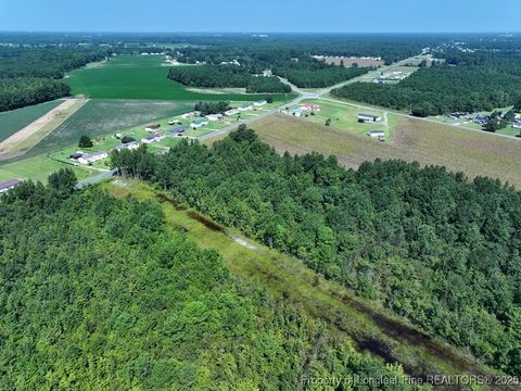 Tiny photo for TBD Alamac Road, Lumberton, NC 28358 (MLS # 753992)