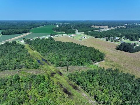 Tiny photo for TBD Alamac Road, Lumberton, NC 28358 (MLS # 753992)