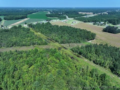 Tiny photo for TBD Alamac Road, Lumberton, NC 28358 (MLS # 753992)
