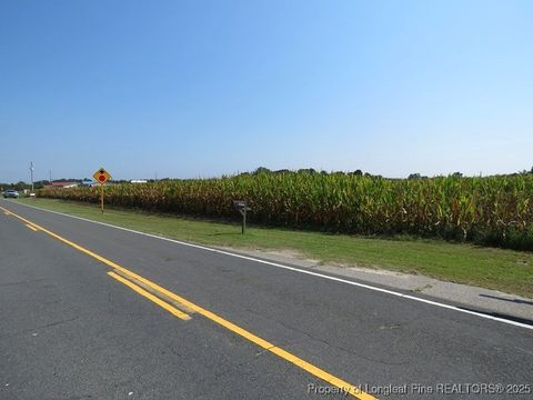 Tiny photo for TBD Alamac Road, Lumberton, NC 28358 (MLS # 753992)