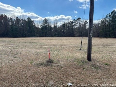 Tiny photo for 0 E 5 TH Street E, Lumberton, NC 28358 (MLS # 757814)
