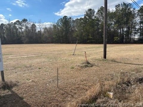 Tiny photo for 0 E 5 TH Street E, Lumberton, NC 28358 (MLS # 757814)