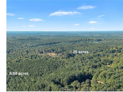 Photo of S Plank Road, Sanford, NC 27330 (MLS # 770434)