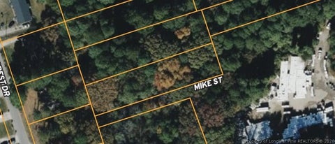 Photo of 417 Mike Street, Fayetteville, NC 28303 (MLS # 769239)