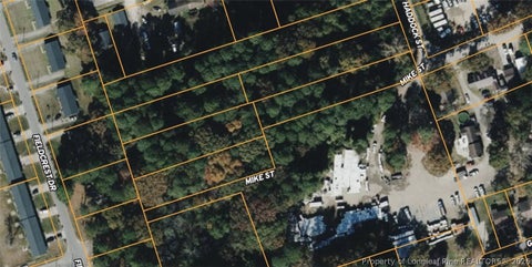 Tiny photo for 417 Mike Street, Fayetteville, NC 28303 (MLS # 769239)