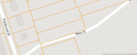 Tiny photo for 417 Mike Street, Fayetteville, NC 28303 (MLS # 769239)