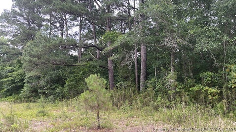 Photo of Sanderosa (0477-88-1702) Road, Fayetteville, NC 28312 (MLS # 768577)