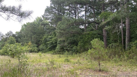 Tiny photo for Sanderosa (0477-88-1702) Road, Fayetteville, NC 28312 (MLS # 768577)