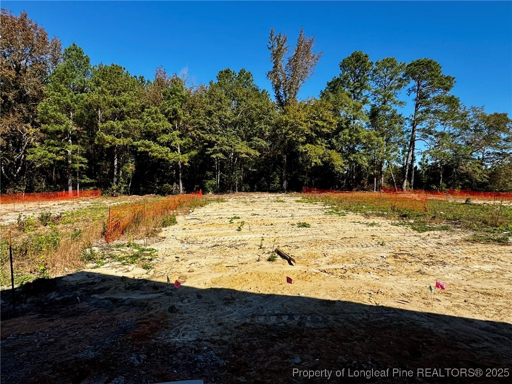 355 Hookbill (Lot 25) Lane