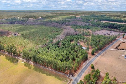 Tiny photo for TBD Montrose (Lot 11) Road, Raeford, NC 28376 (MLS # 757795)