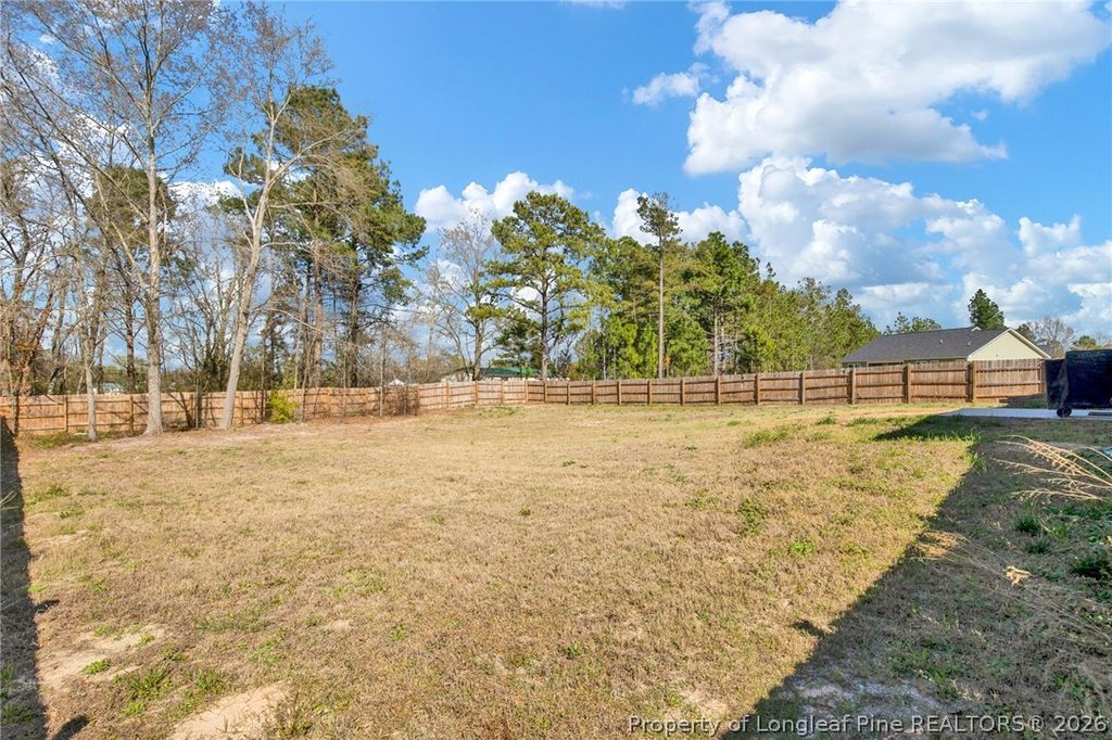 Photo of 52 Dalmation Lane, Parkton, NC 28371 (MLS # 759007)