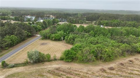 Photo of Lot 2 Joe Collins Road, Lillington, NC 27546 (MLS # 763625)