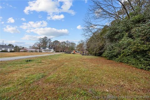 Tiny photo for 123 & 125 Spring Branch, Dunn, NC 28334 (MLS # 753677)