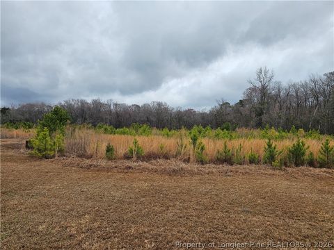 Tiny photo for 35544 Hwy 210 Highway, Currie, NC 28435 (MLS # 757794)