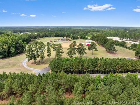 Tiny photo for 578 Atkins Road, Cameron, NC 28326 (MLS # 764582)