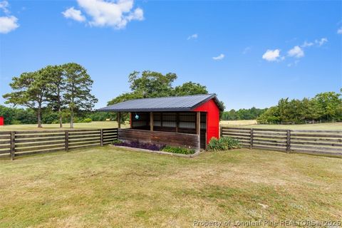 Tiny photo for 578 Atkins Road, Cameron, NC 28326 (MLS # 764582)