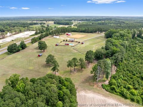 Tiny photo for 578 Atkins Road, Cameron, NC 28326 (MLS # 764582)