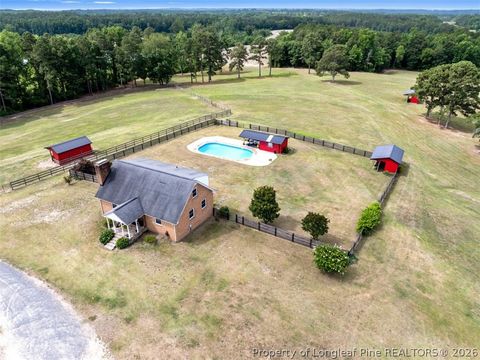 Tiny photo for 578 Atkins Road, Cameron, NC 28326 (MLS # 764582)